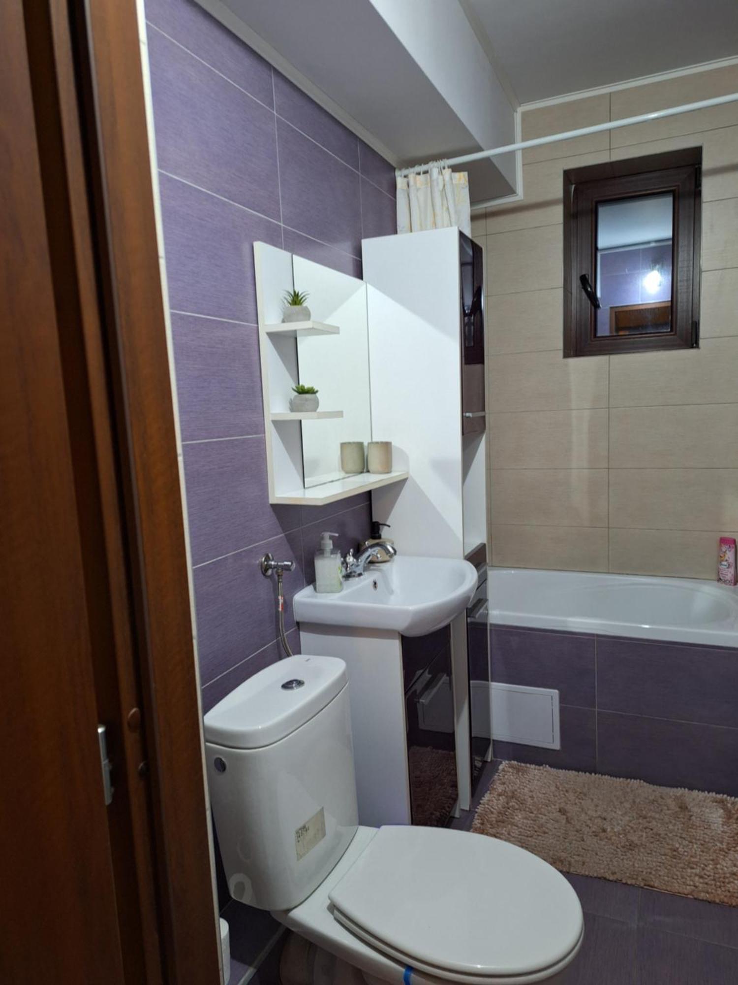 Coral Apartment Târgu-Mureş エクステリア 写真